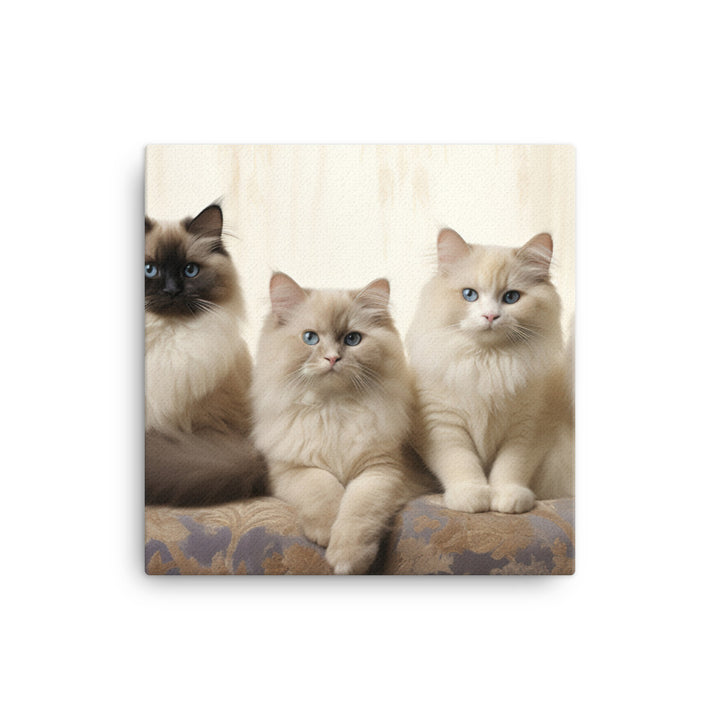 Birman Canvas - PosterfyAI.com