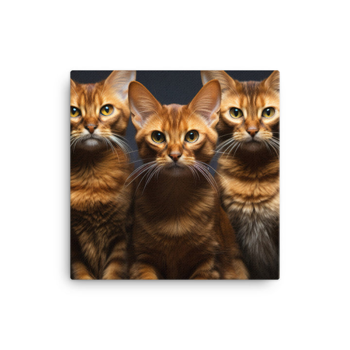 Abyssinian Canvas - PosterfyAI.com
