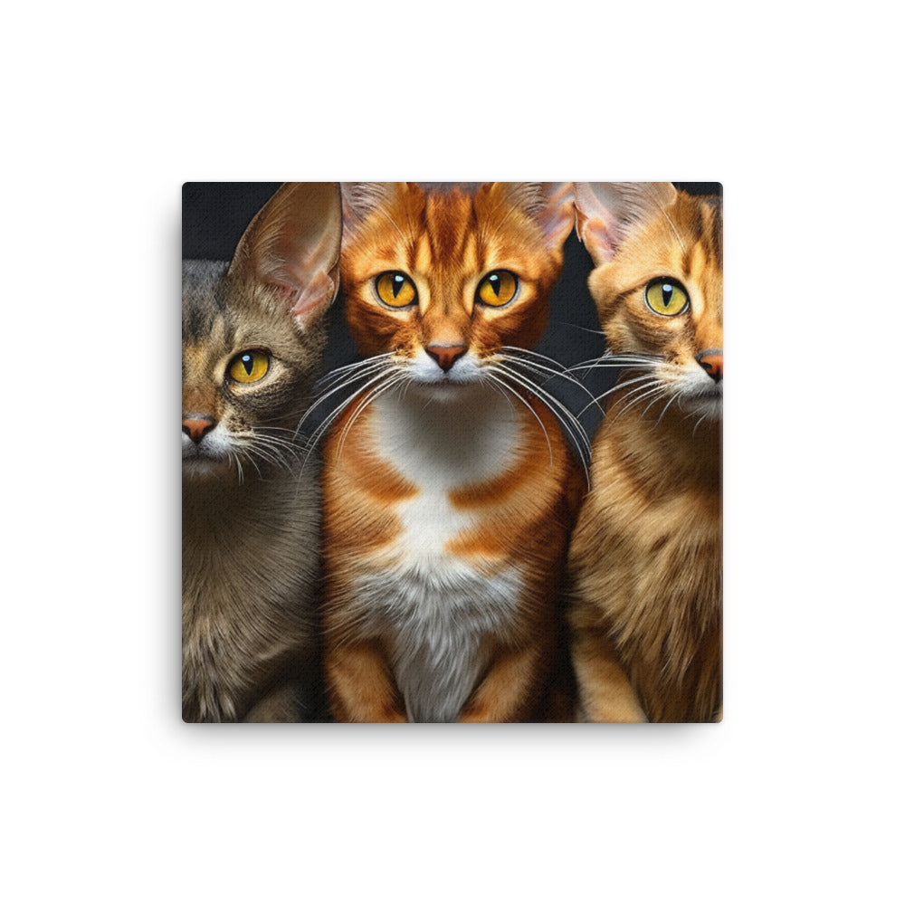 Abyssinian Canvas - PosterfyAI.com
