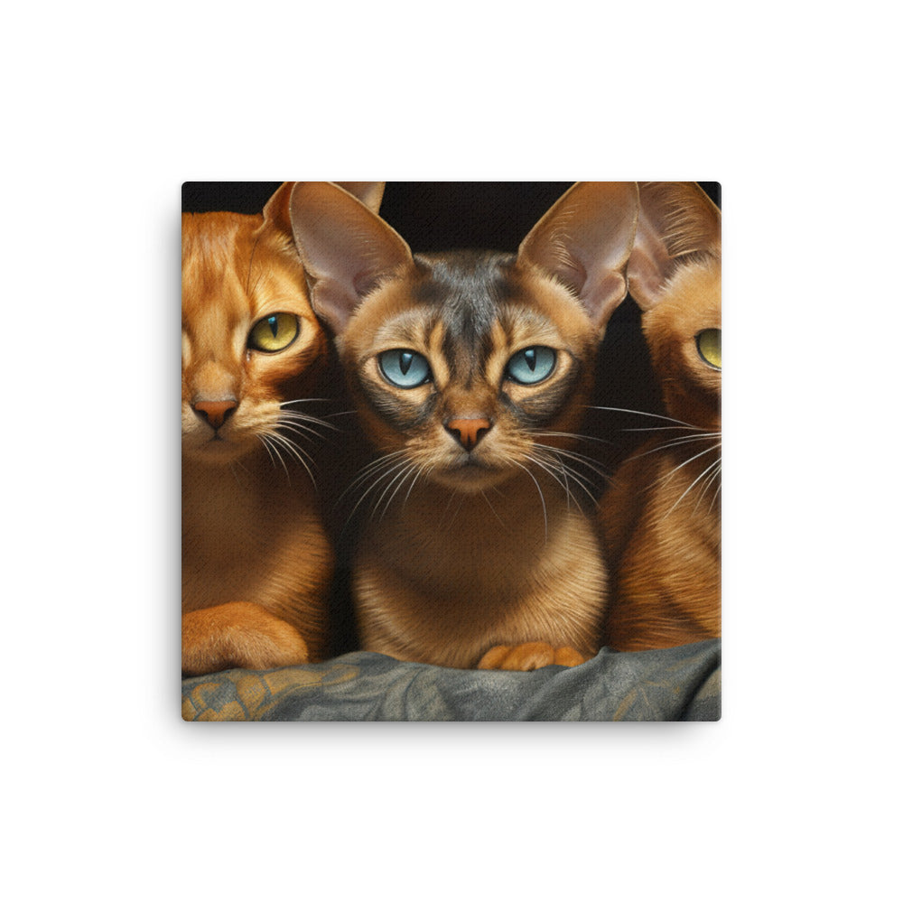 Abyssinian Canvas - PosterfyAI.com