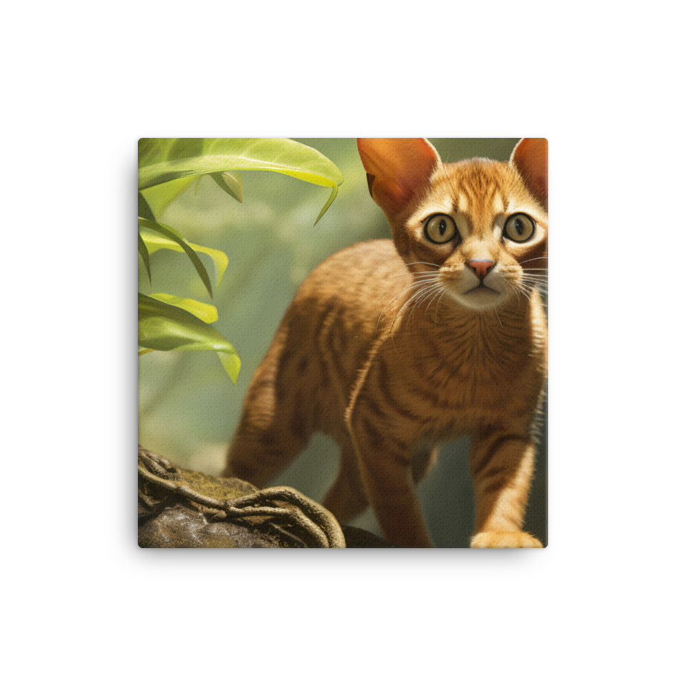 Abyssinian Canvas - PosterfyAI.com