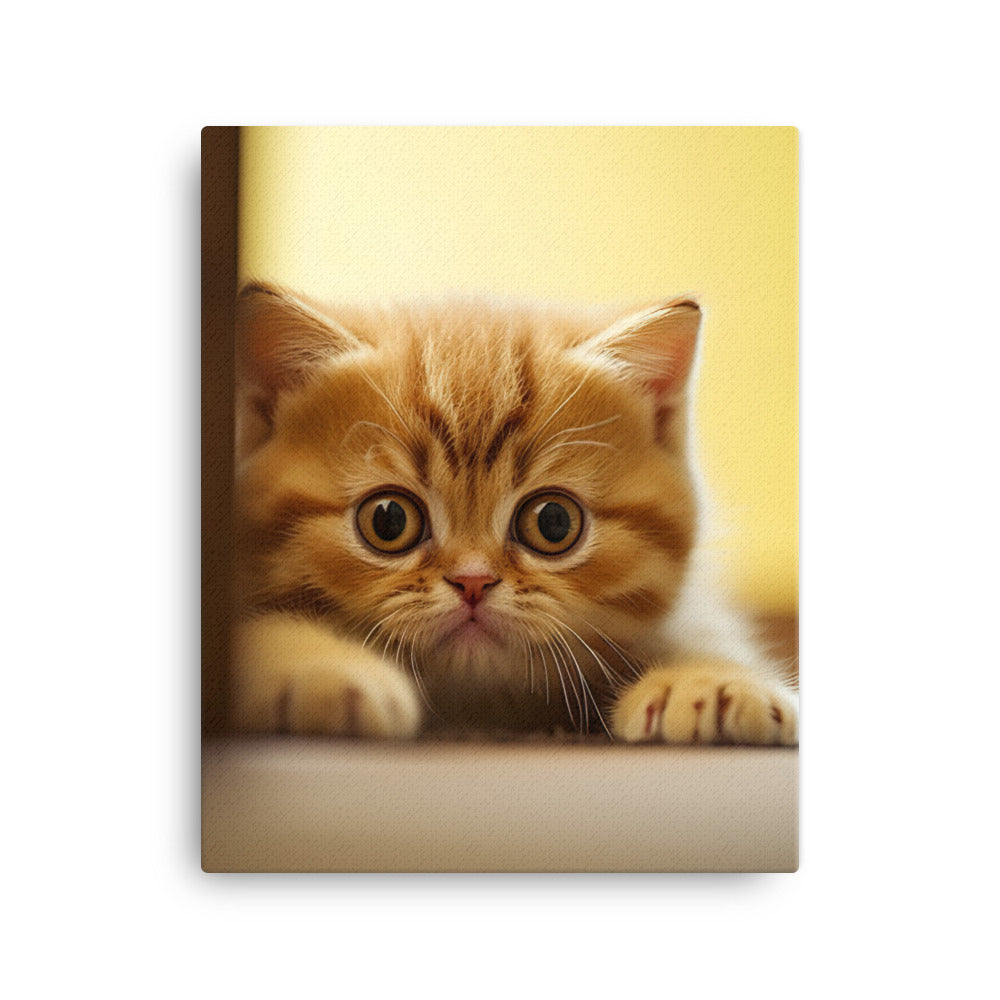 Exotic Shorthair Kitten Canvas - PosterfyAI.com