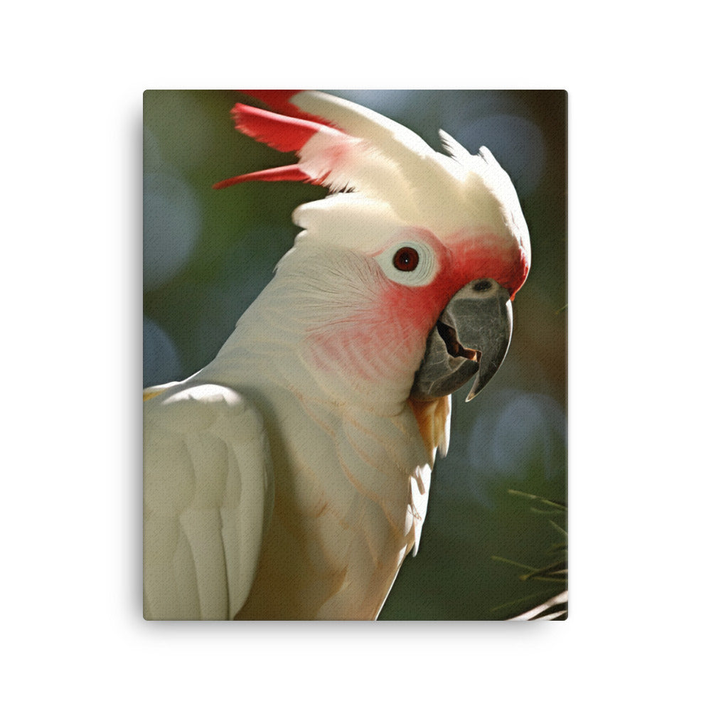 Moluccan Cockatoo Canvas - PosterfyAI.com