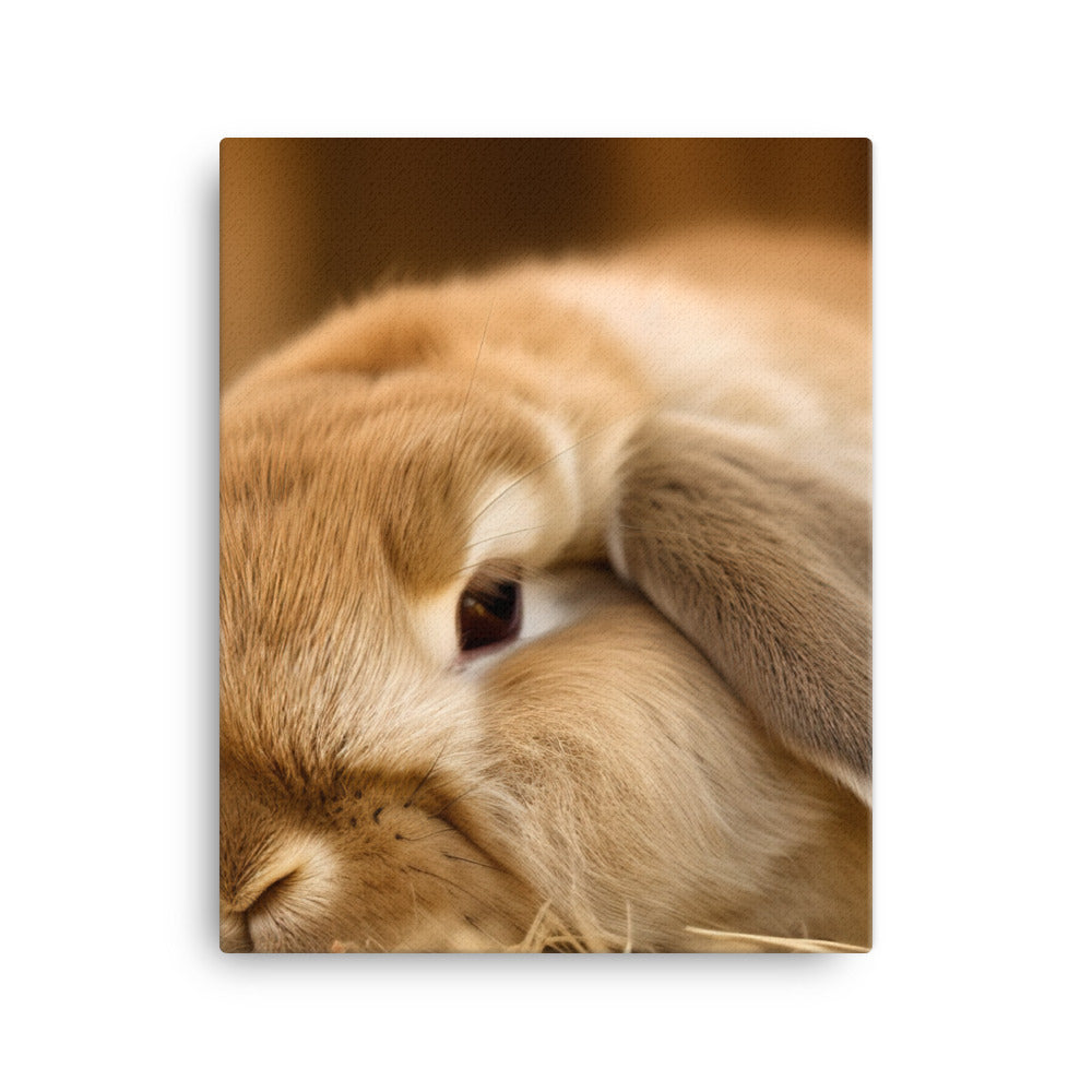 Holland Lop Canvas - PosterfyAI.com