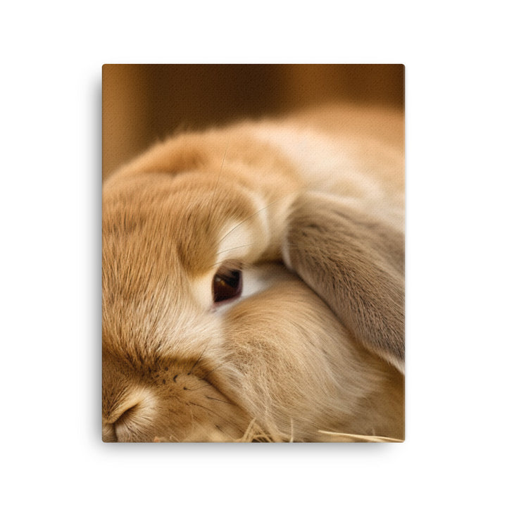 Holland Lop Canvas - PosterfyAI.com