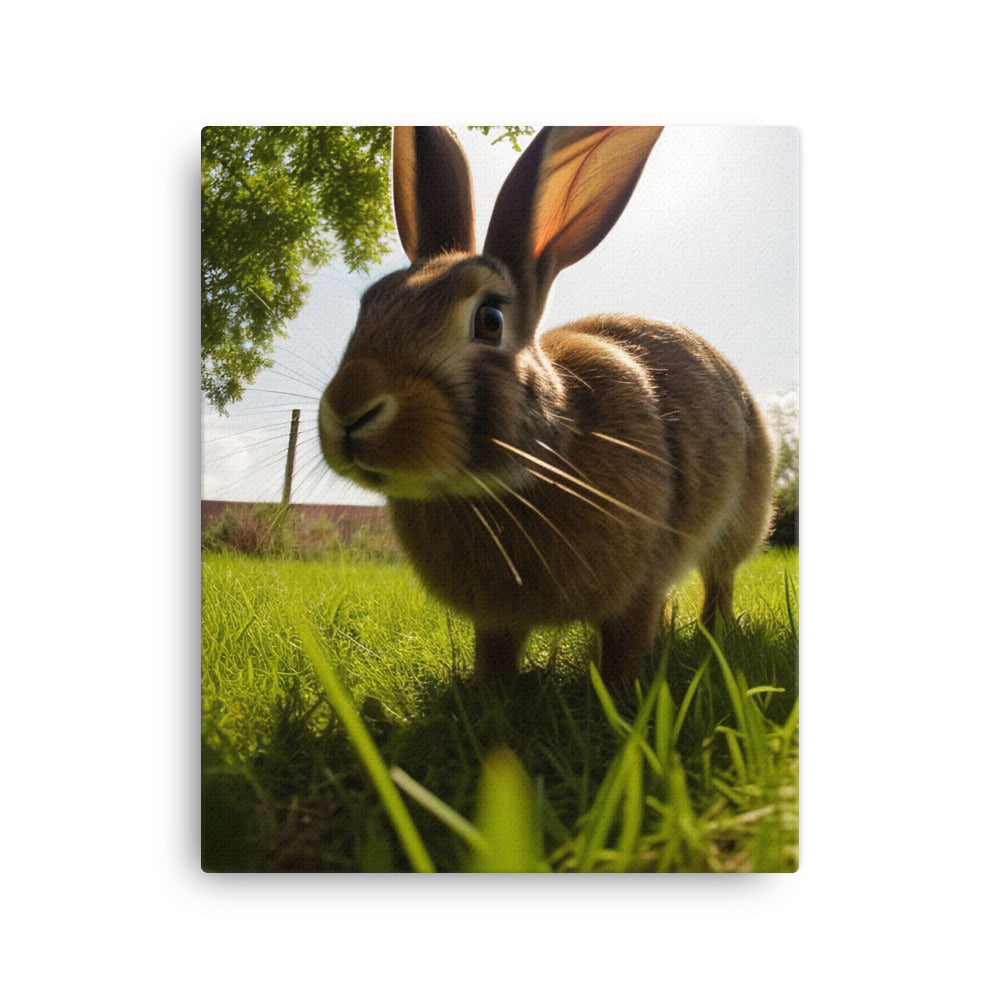 Flemish Giant Rabbit Outdoors Canvas - PosterfyAI.com