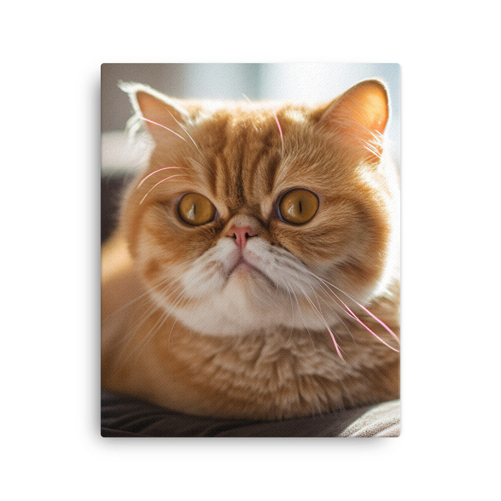 Exotic Shorthair Cat Canvas - PosterfyAI.com