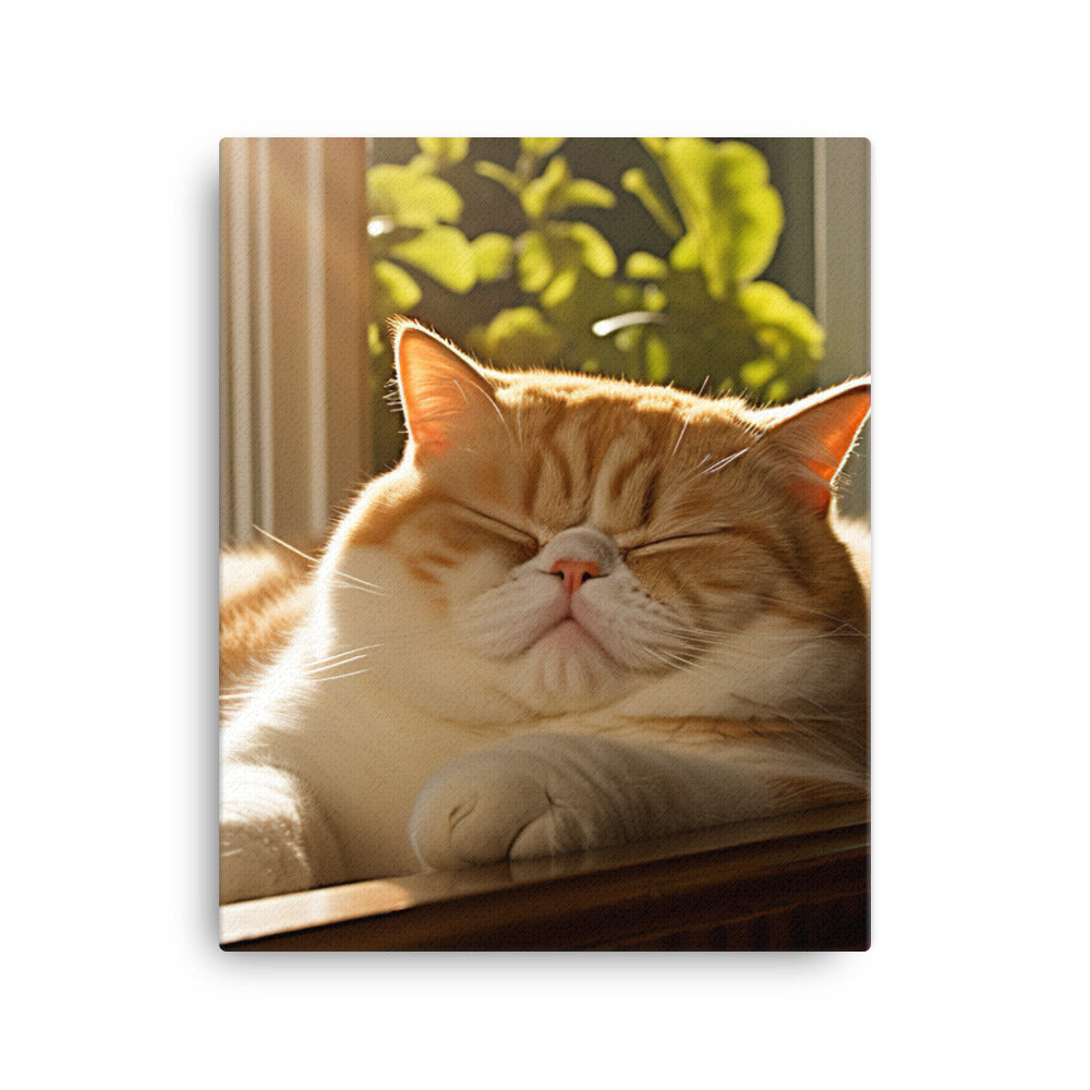 Exotic Shorthair Cat Napping Canvas - PosterfyAI.com