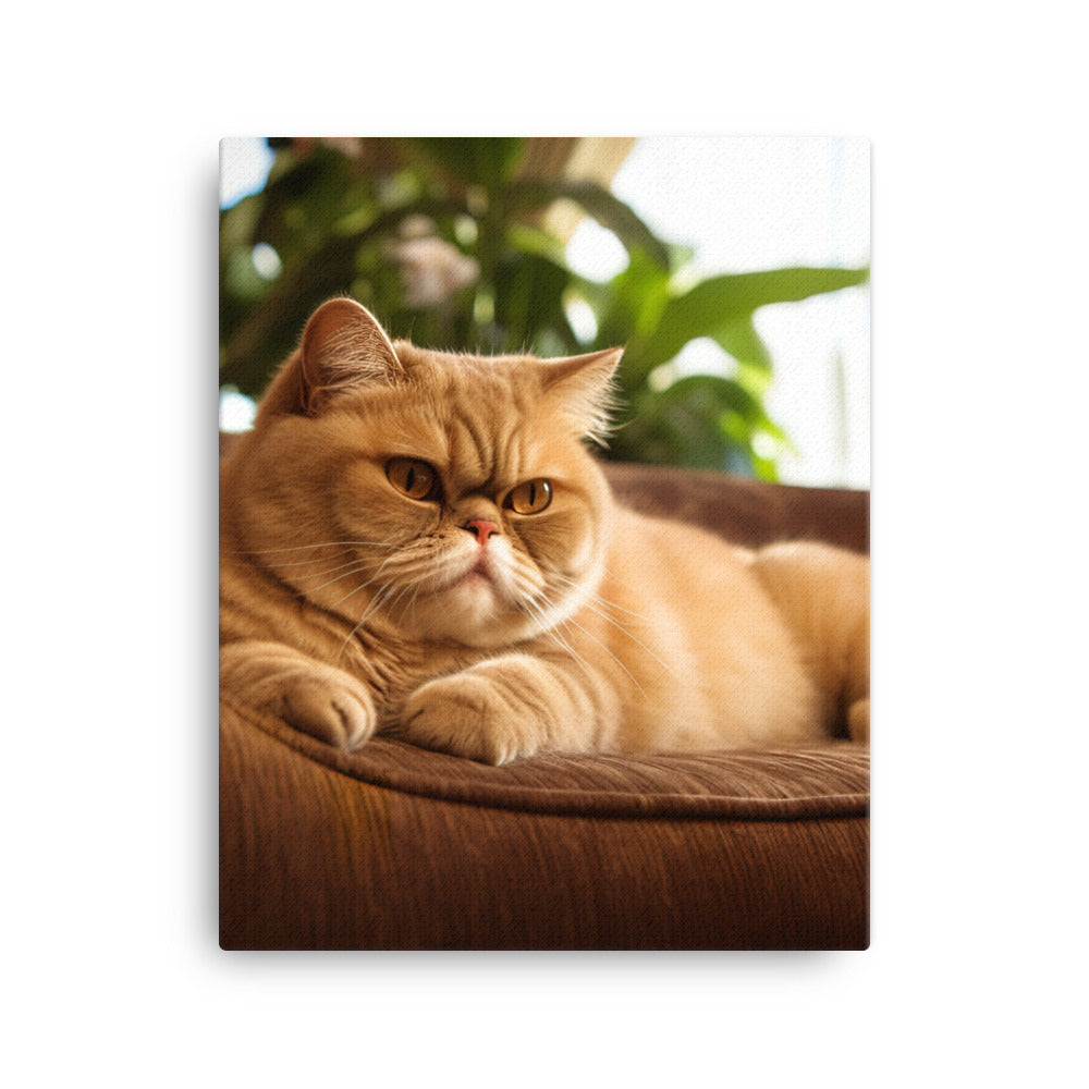 Exotic Shorthair Cat Lounging Canvas - PosterfyAI.com