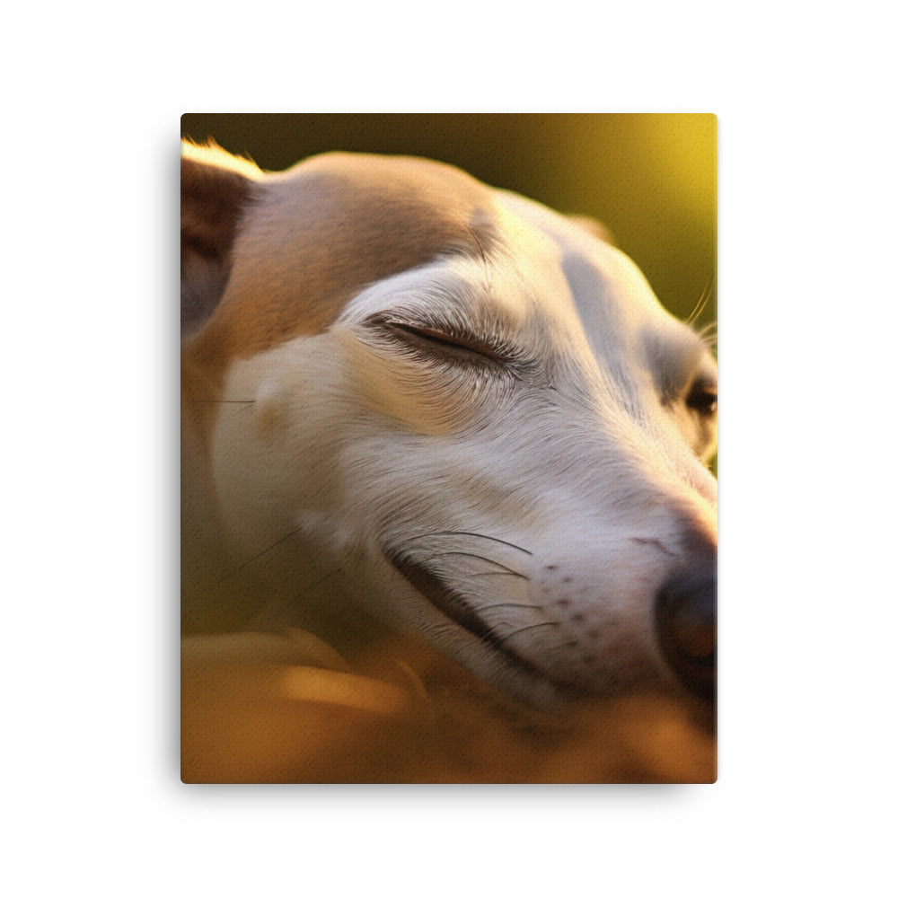 Whippet Beauty Sleep Canvas - PosterfyAI.com