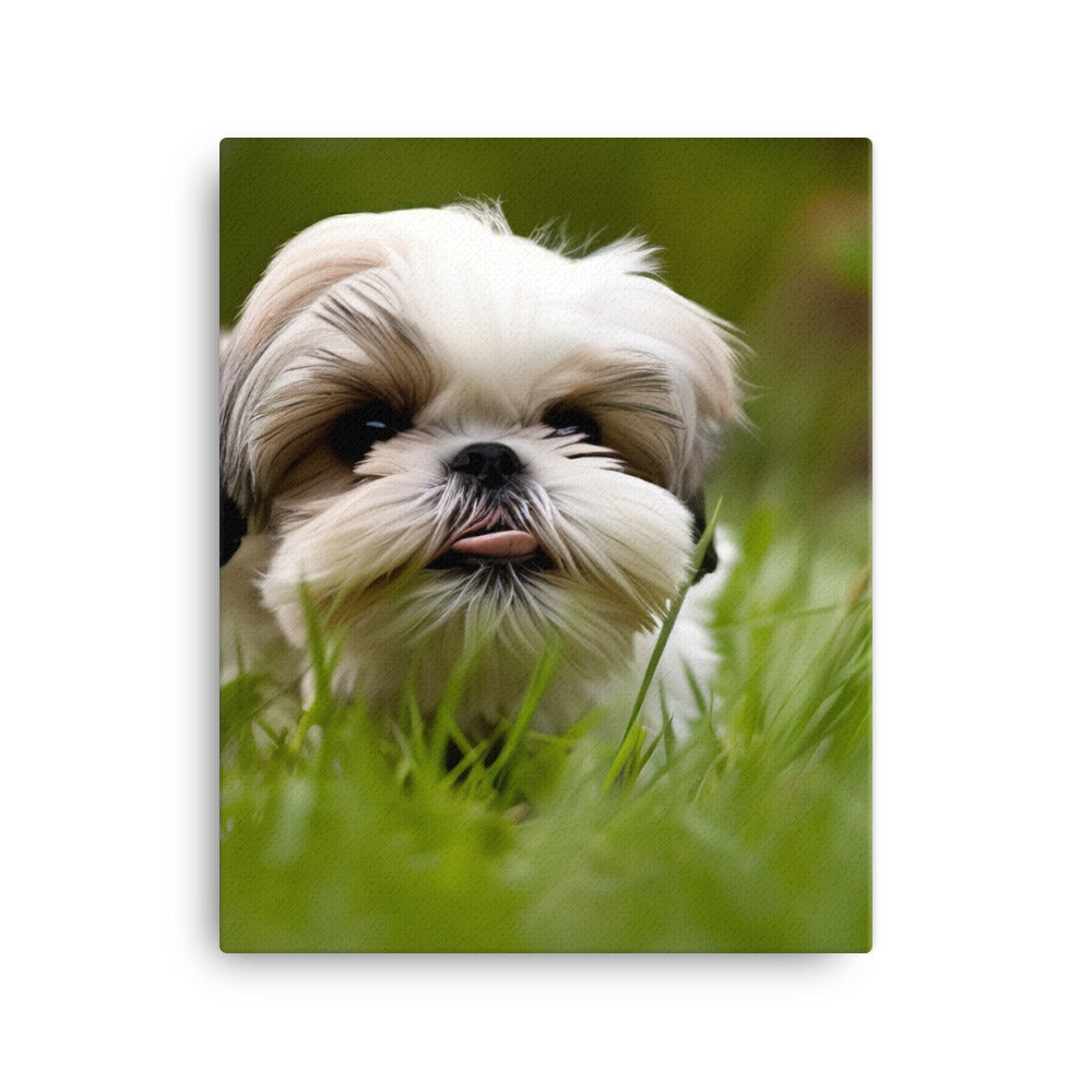 Playful Shih Tzu Enjoying the Outdoors Canvas - PosterfyAI.com
