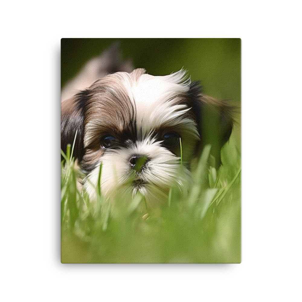 Playful Shih Tzu Enjoying the Outdoors Canvas - PosterfyAI.com