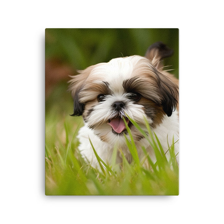 Playful Shih Tzu Enjoying the Outdoors Canvas - PosterfyAI.com