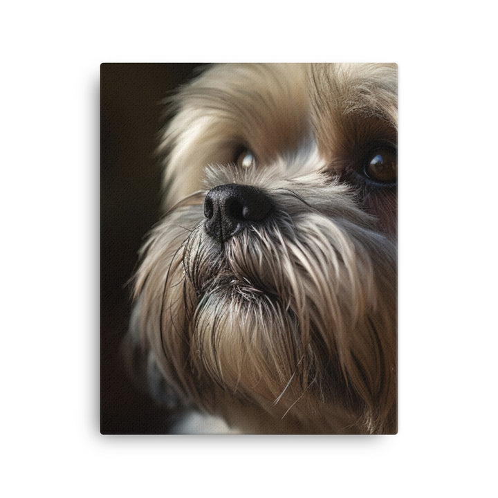 Lhasa Apso Gaze Canvas - PosterfyAI.com