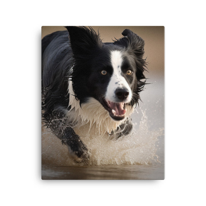 Energetic Border Collie in Action Canvas - PosterfyAI.com