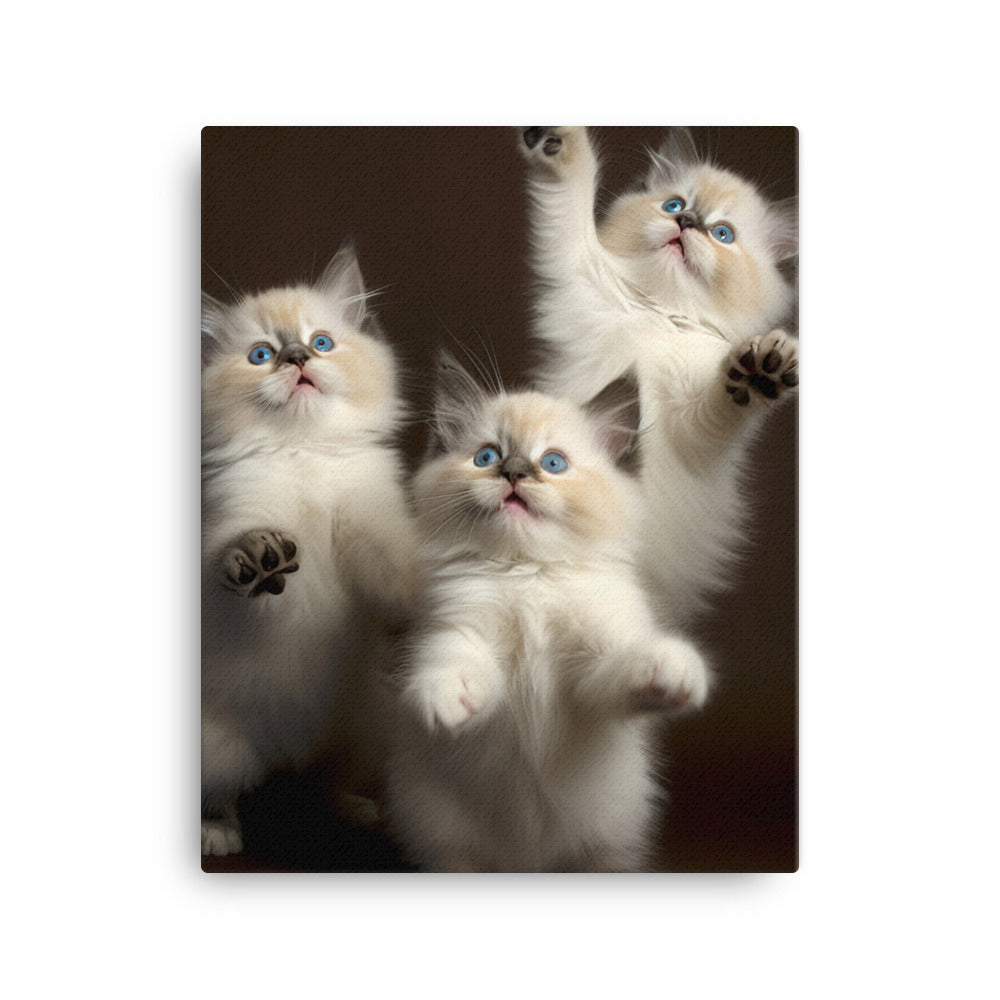 Ragdoll Kitten Canvas - PosterfyAI.com