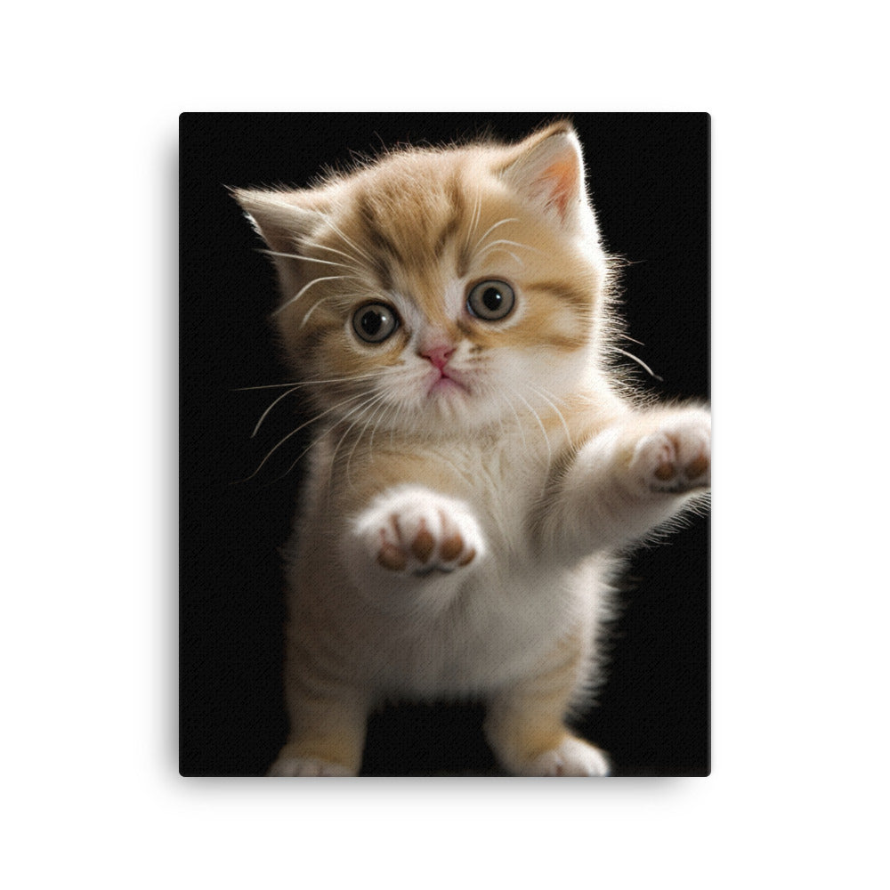 Exotic Shorthair Kitten Canvas - PosterfyAI.com