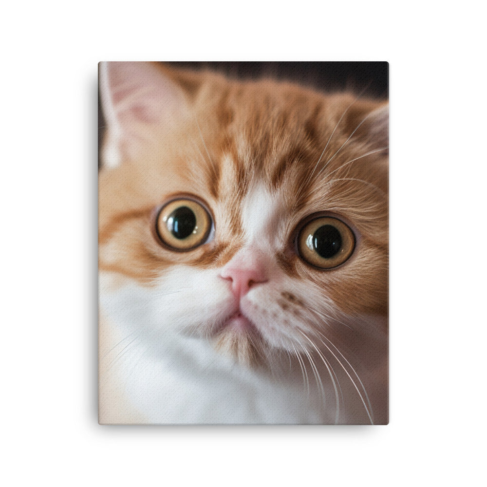 Exotic Shorthair Kitten Canvas - PosterfyAI.com