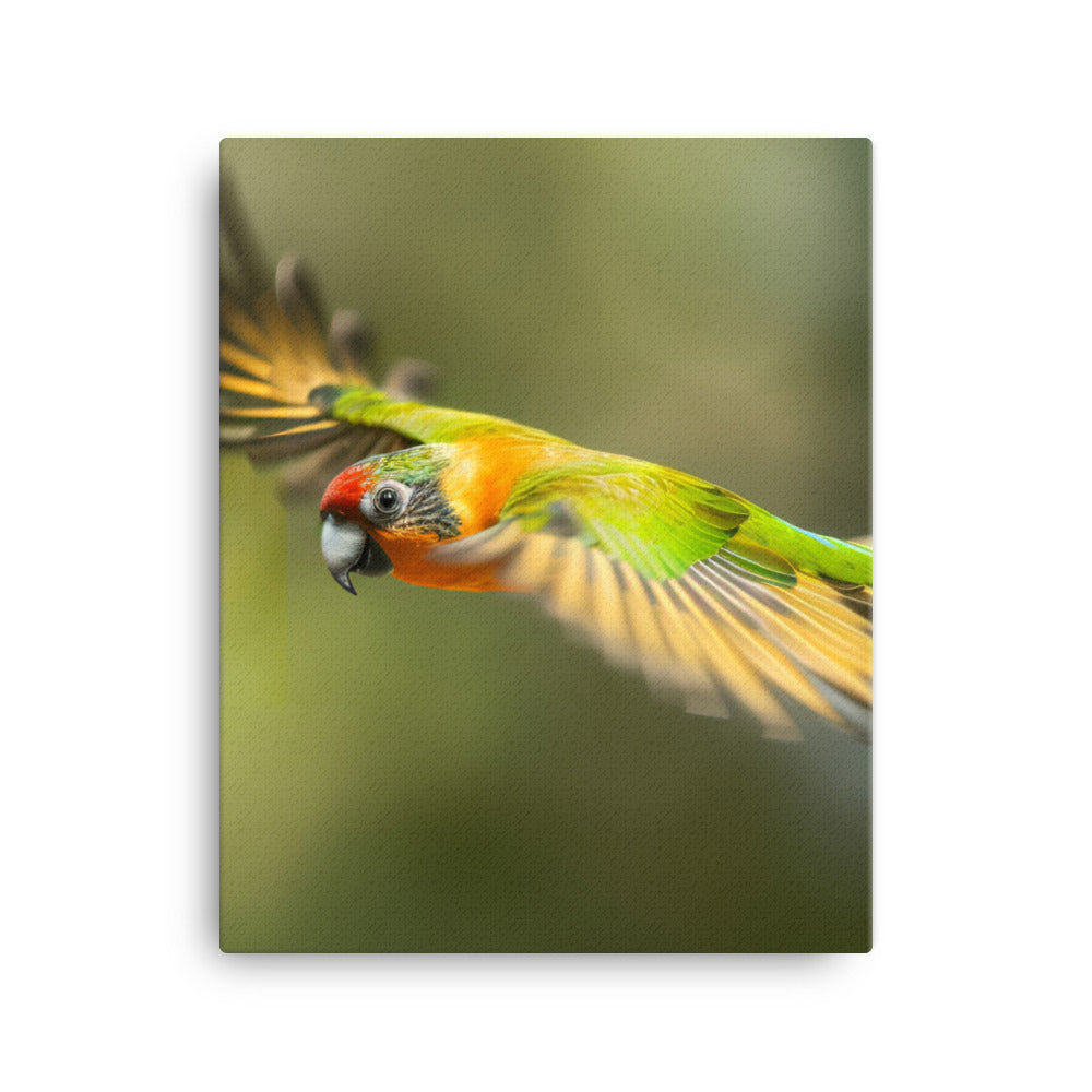 A Conure in mid flight Canvas - PosterfyAI.com