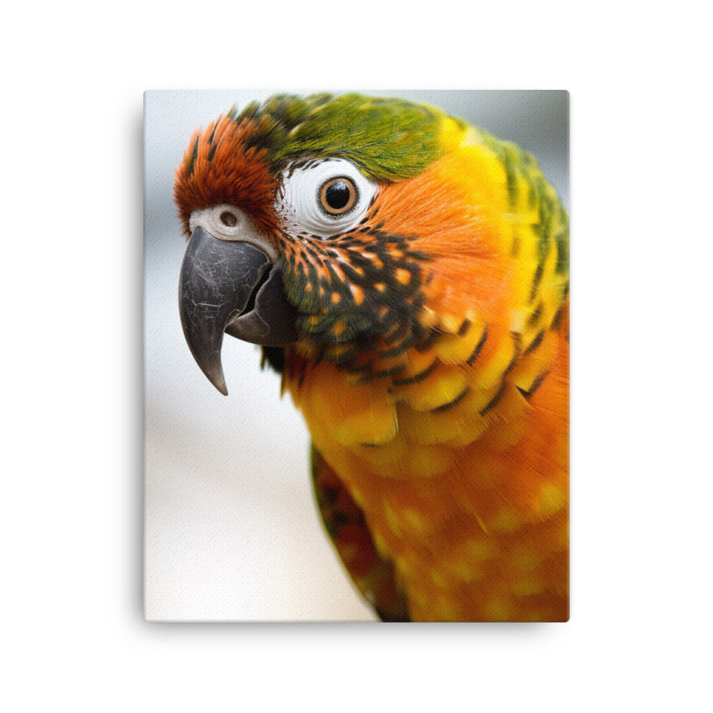 A colorful Conure perched on a branch Canvas - PosterfyAI.com