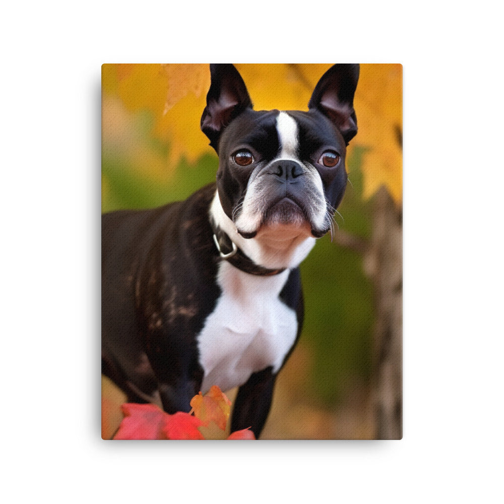Boston Terrier with Fall Colors Canvas - PosterfyAI.com