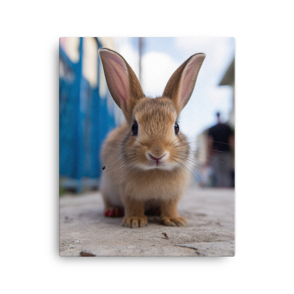 Adorable Havana Bunny Canvas - PosterfyAI.com