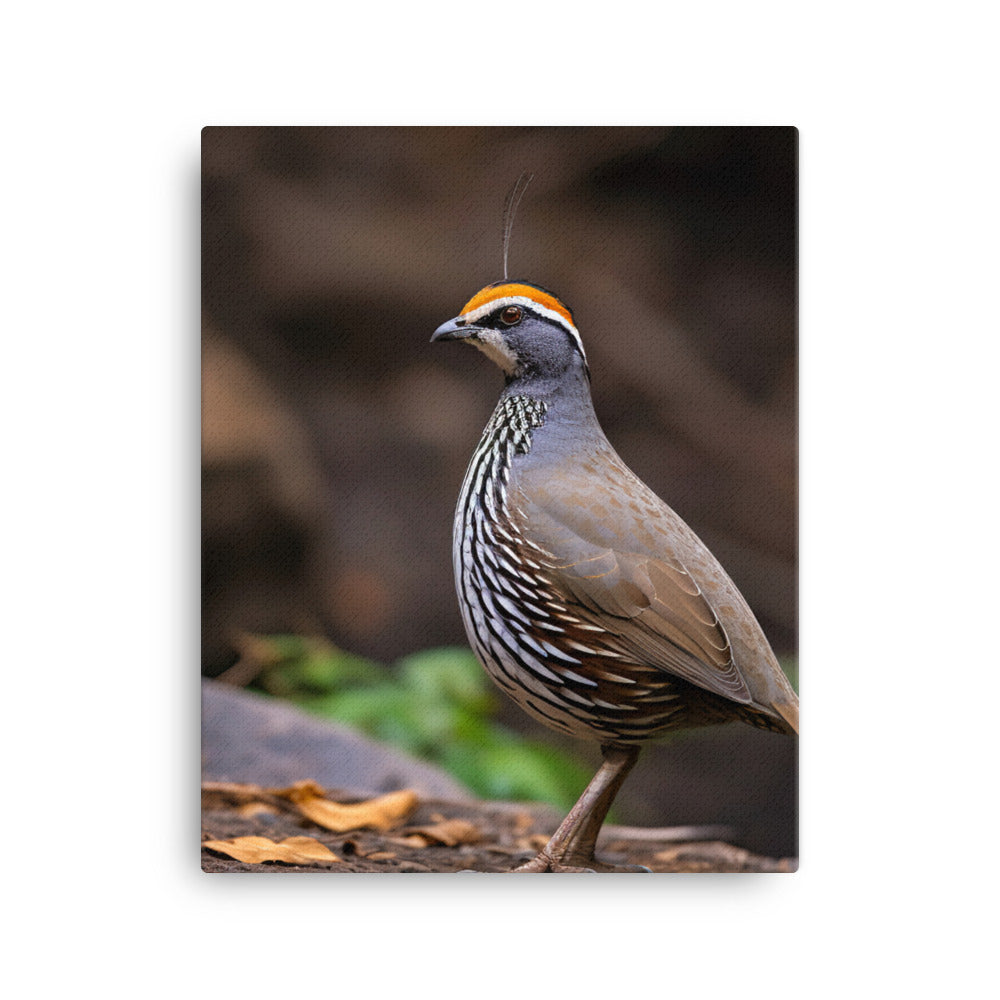Quail Canvas - PosterfyAI.com