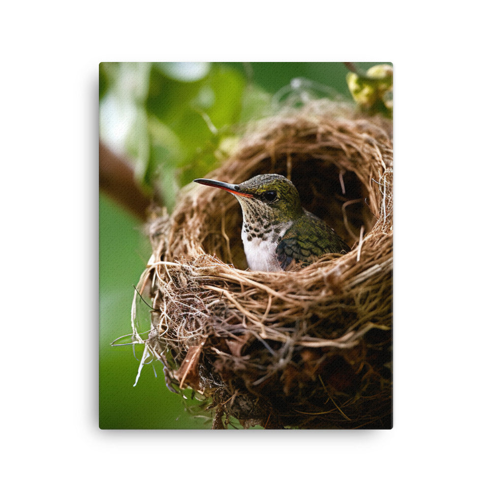 Hummingbird Canvas - PosterfyAI.com