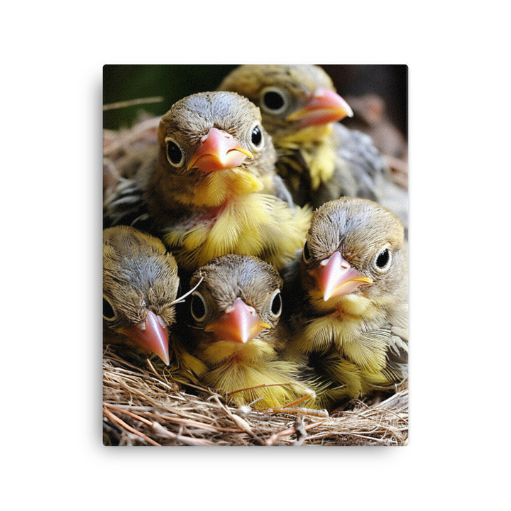 Finch Canvas - PosterfyAI.com