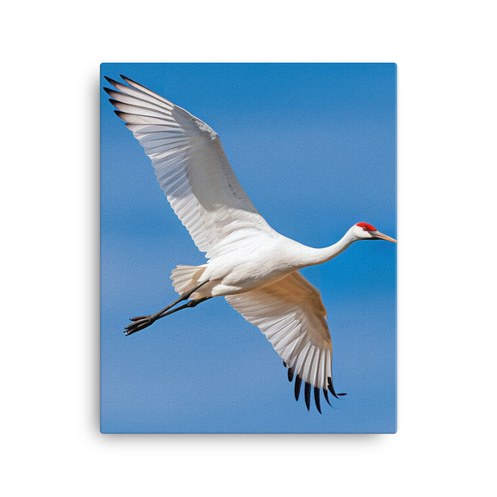 Crane Canvas - PosterfyAI.com