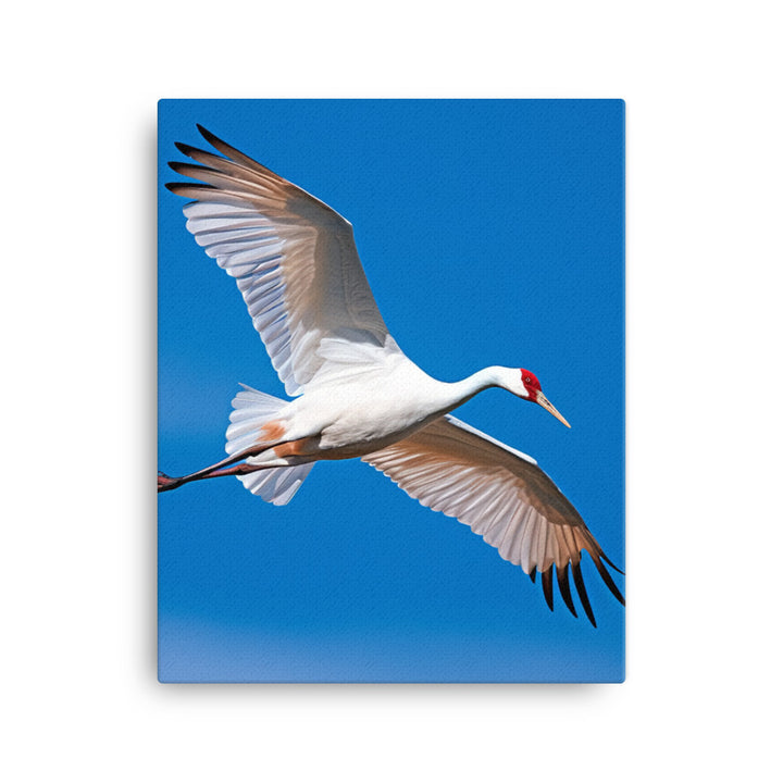 Crane Canvas - PosterfyAI.com