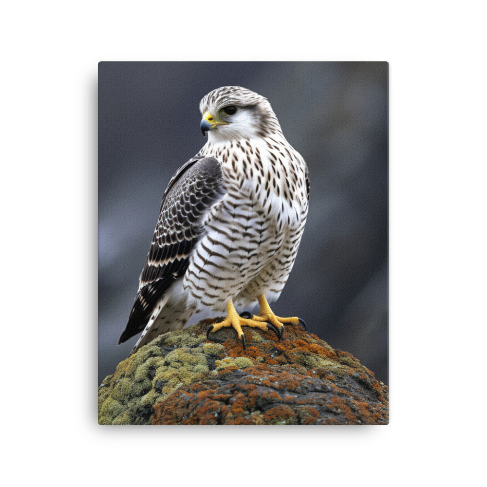 Gyrfalcon Canvas - PosterfyAI.com