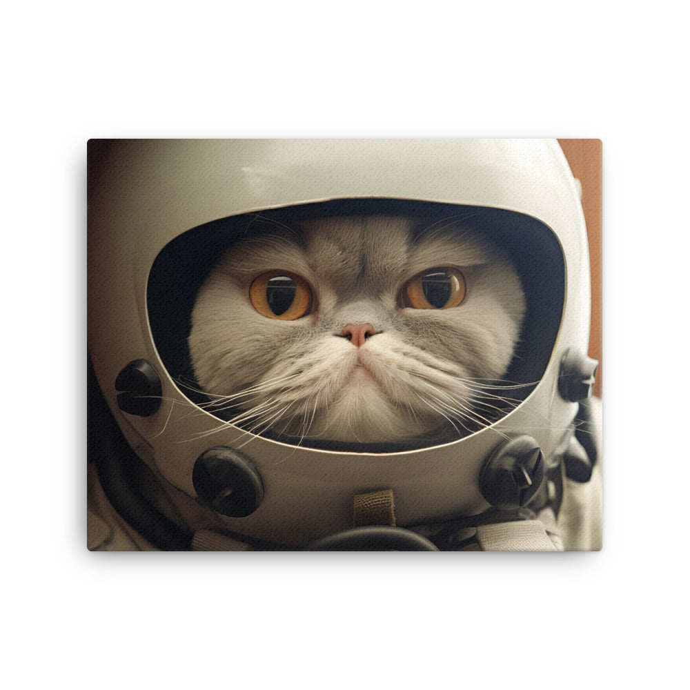 Exotic Shorthair Pilot Canvas - PosterfyAI.com