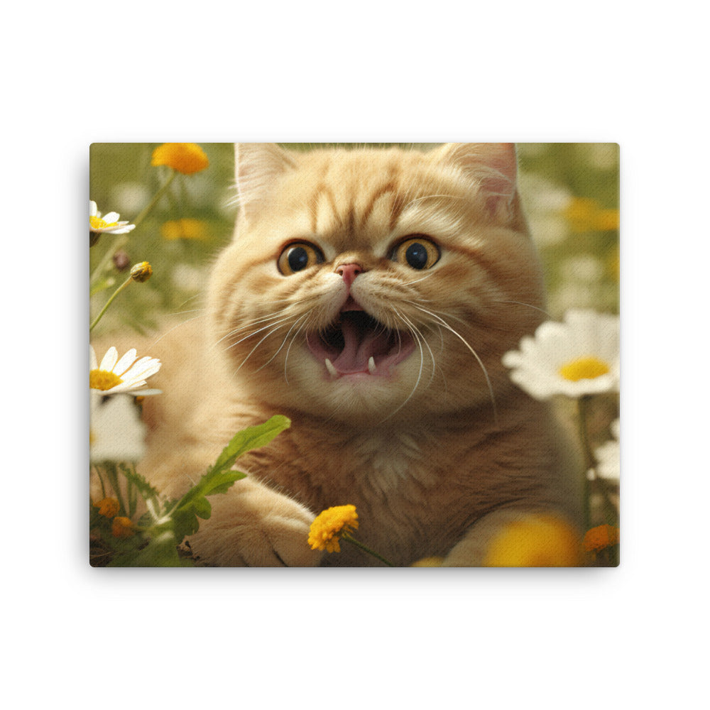Exotic Shorthair Canvas - PosterfyAI.com