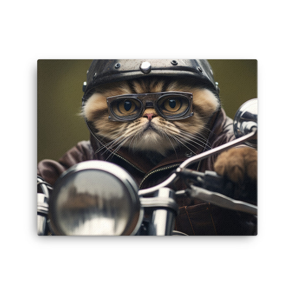 Exotic Shorthair Superbike Athlete Canvas - PosterfyAI.com