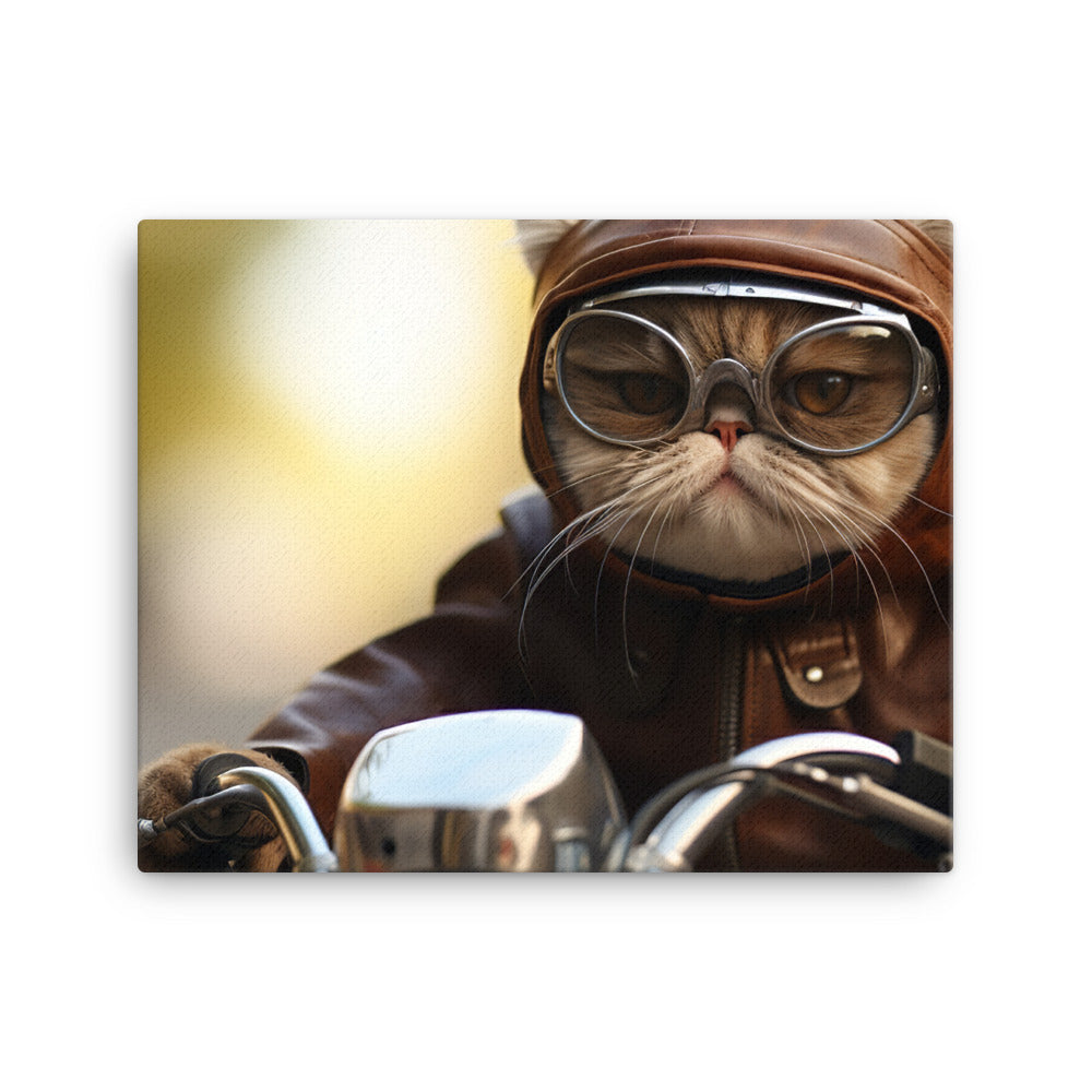 Exotic Shorthair Superbike Athlete Canvas - PosterfyAI.com