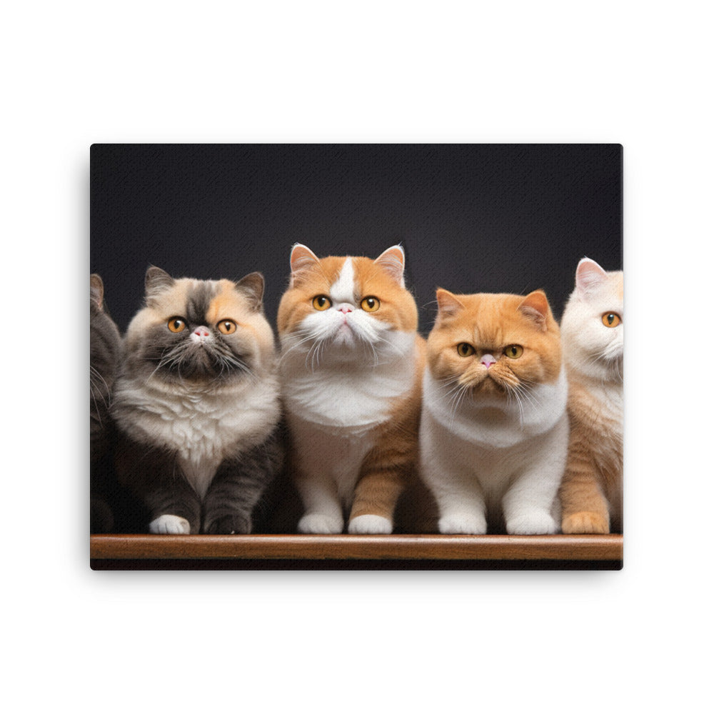 Exotic Shorthair Canvas - PosterfyAI.com