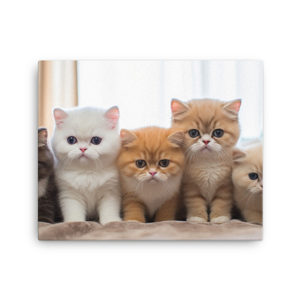 Exotic Shorthair Canvas - PosterfyAI.com