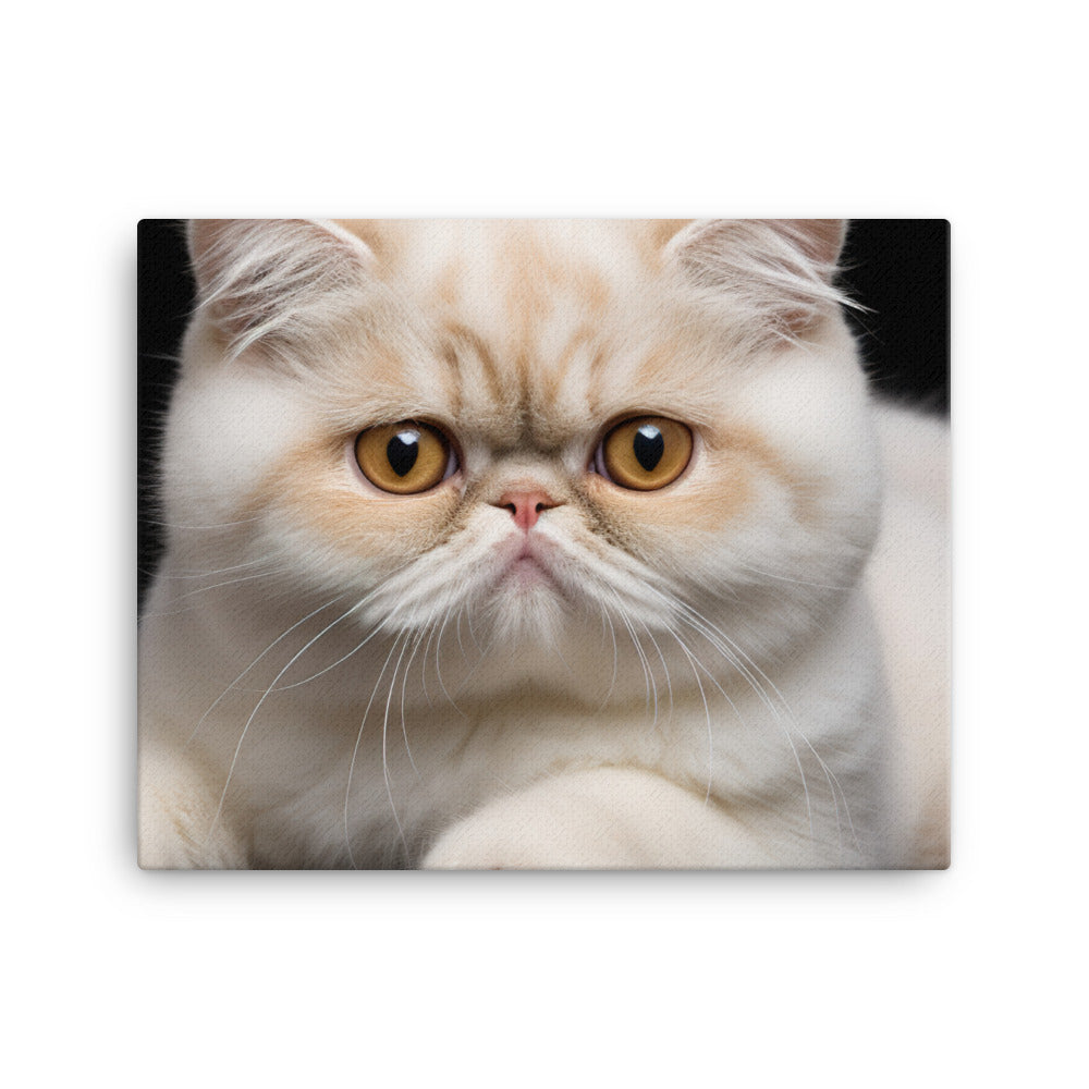 Exotic Shorthair Canvas - PosterfyAI.com