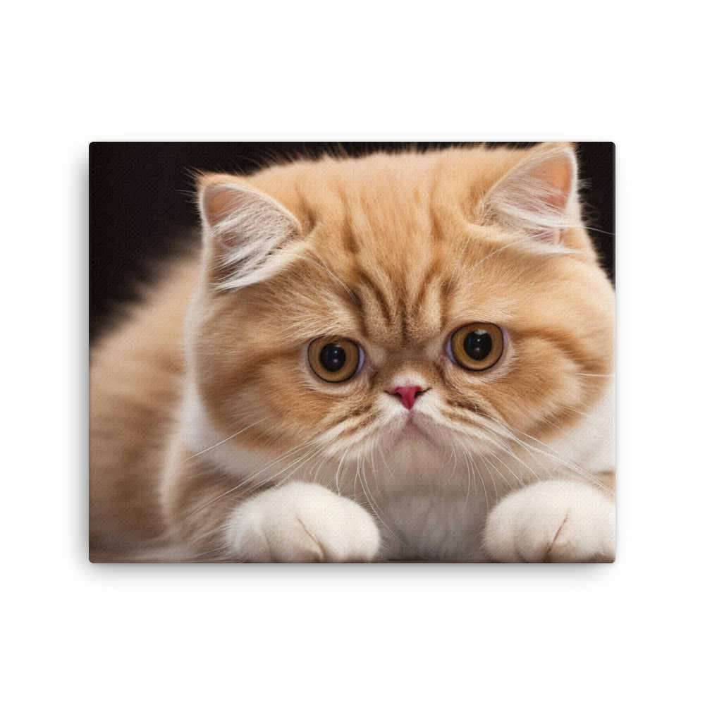 Exotic Shorthair Canvas - PosterfyAI.com