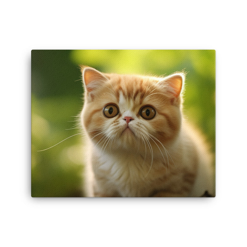 Exotic Shorthair Canvas - PosterfyAI.com