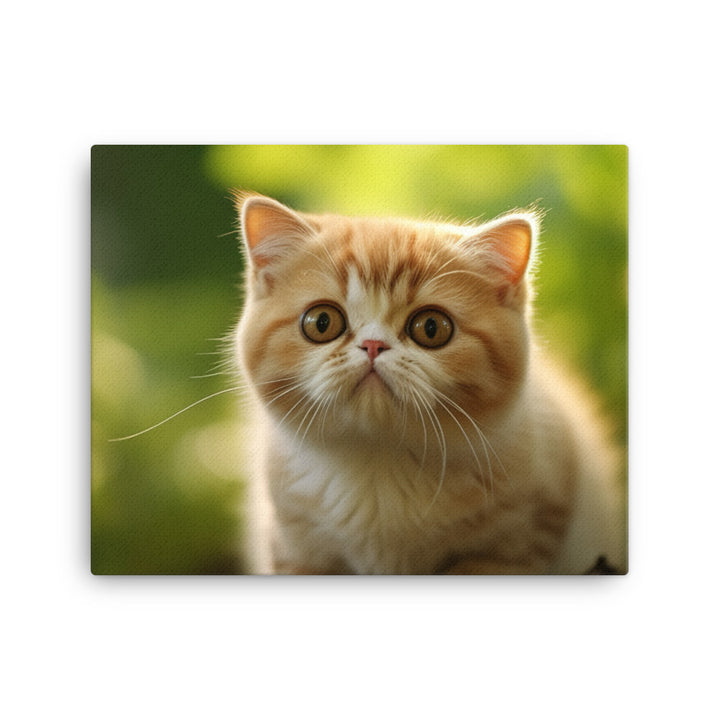 Exotic Shorthair Canvas - PosterfyAI.com