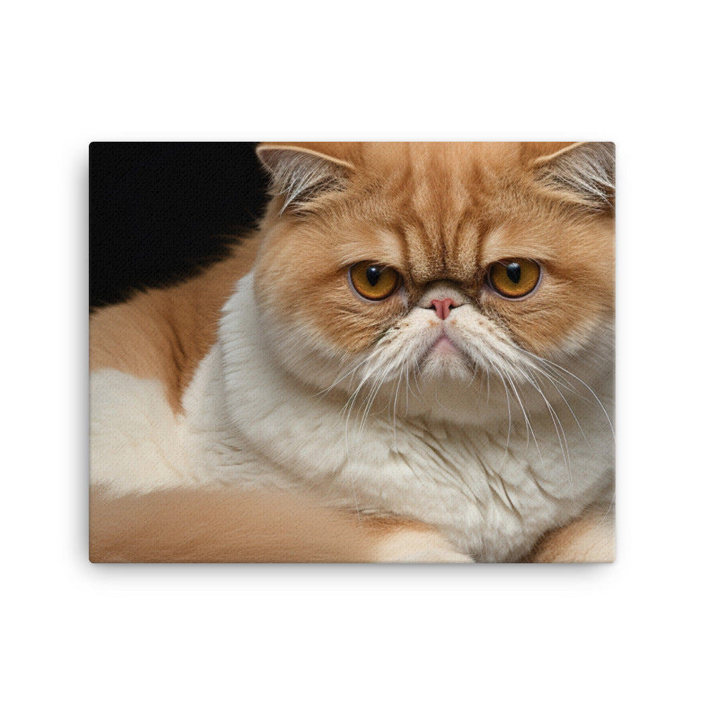 Exotic Shorthair Canvas - PosterfyAI.com