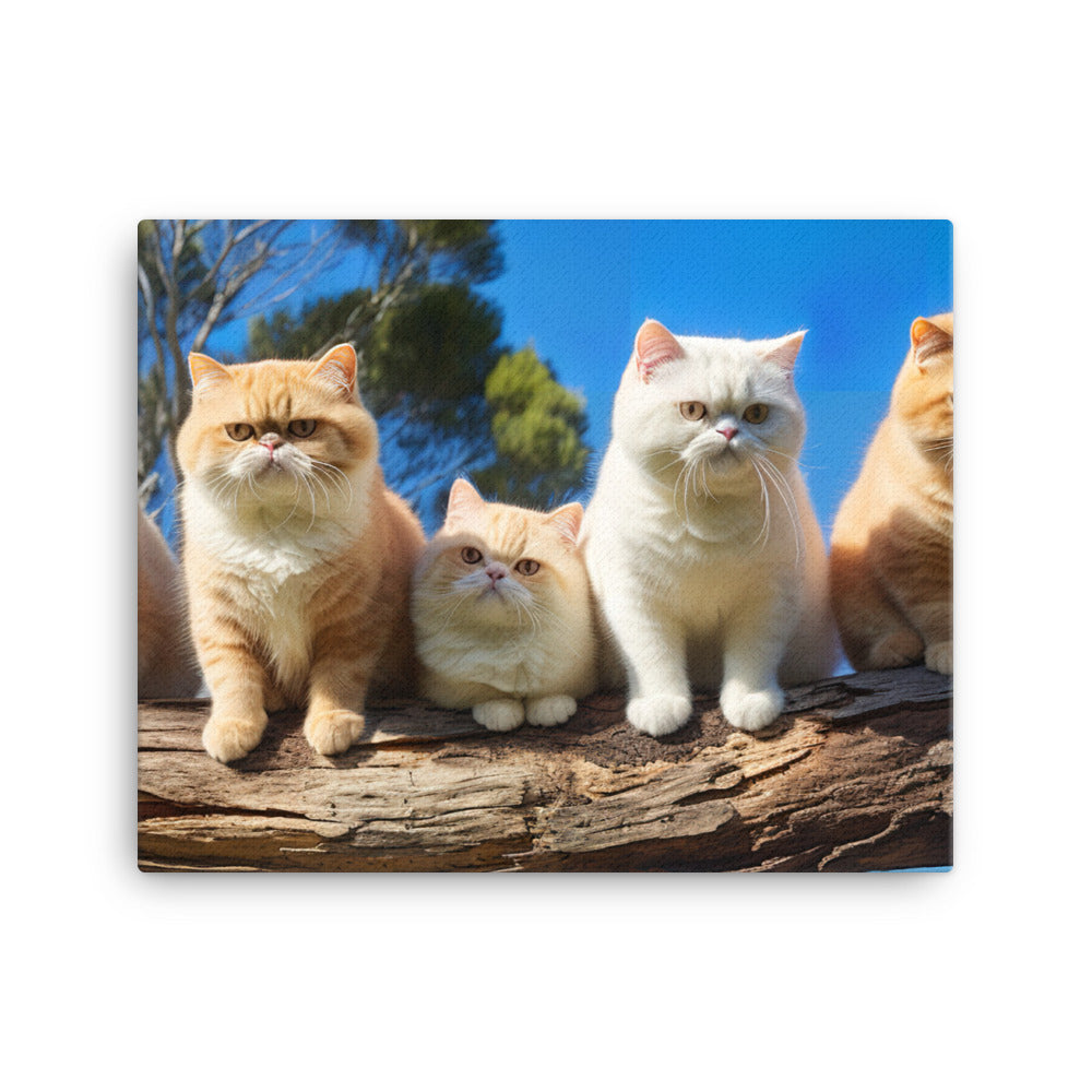 Exotic Shorthair Canvas - PosterfyAI.com