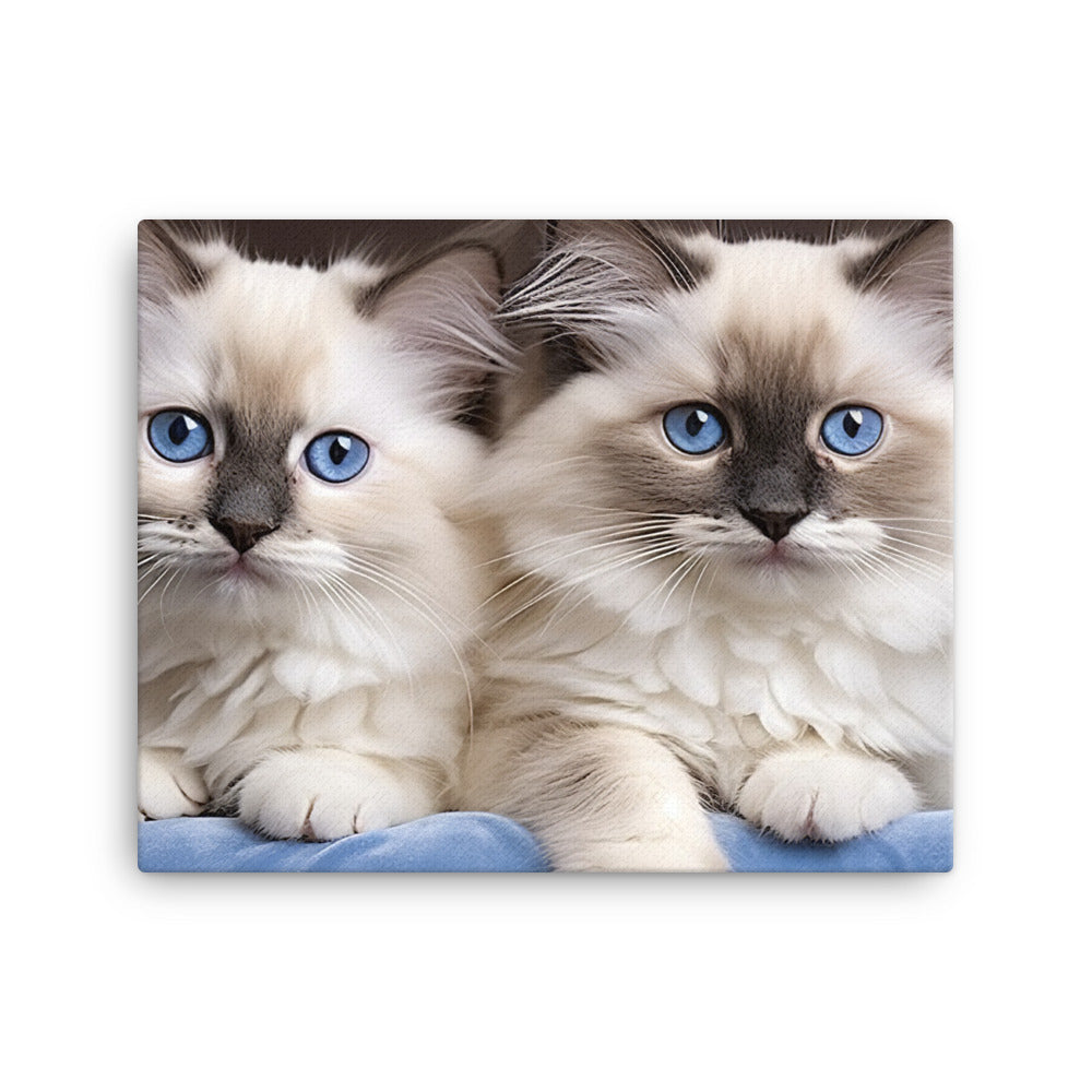 Ragdoll Canvas - PosterfyAI.com