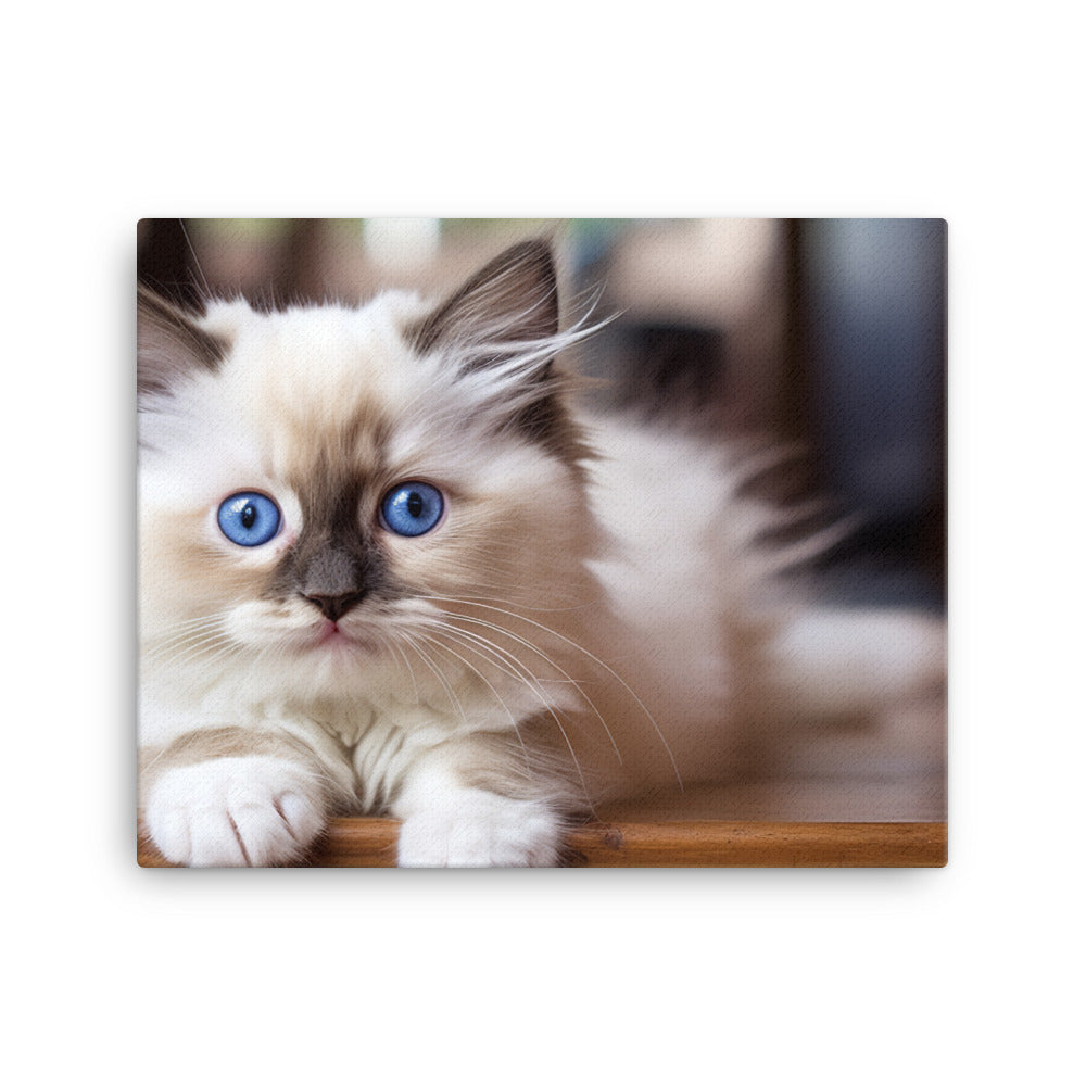 Ragdoll Canvas - PosterfyAI.com