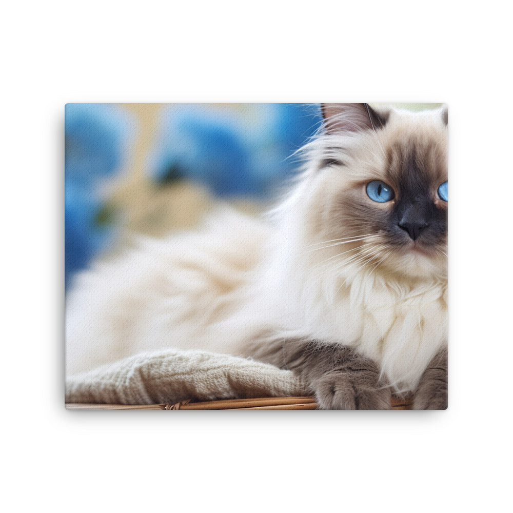 Ragdoll Canvas - PosterfyAI.com
