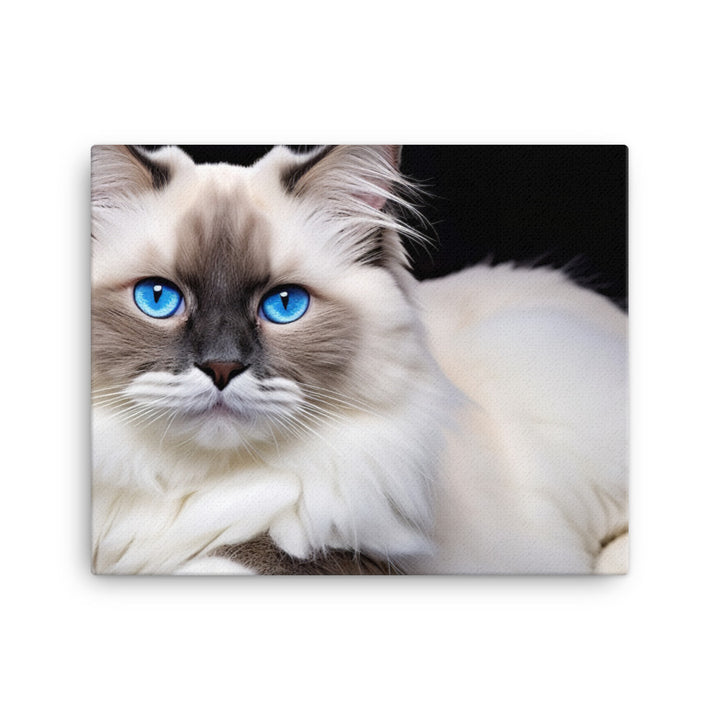 Ragdoll Canvas - PosterfyAI.com