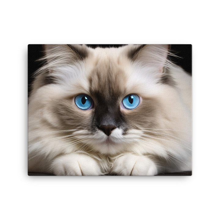 Ragdoll Canvas - PosterfyAI.com