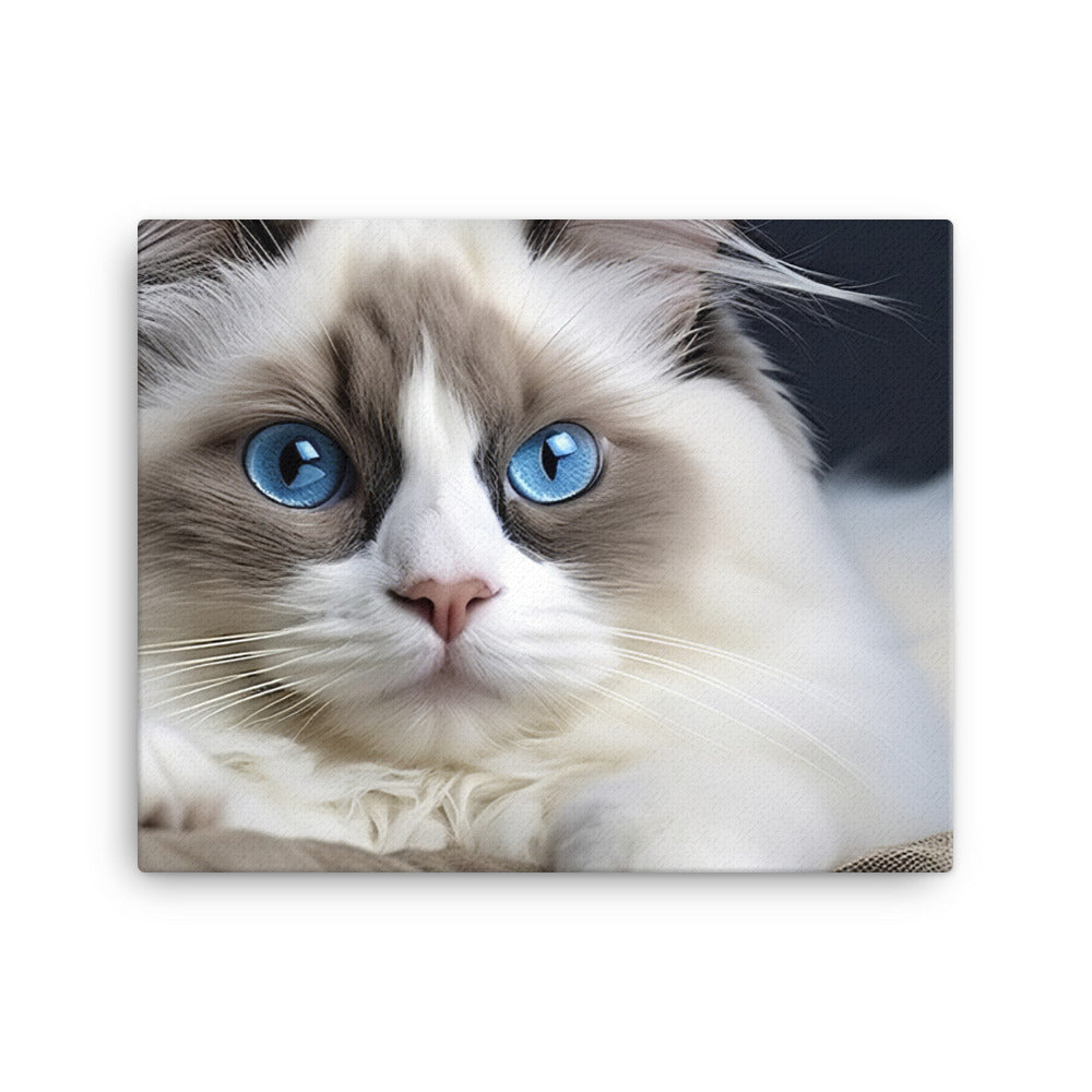 Ragdoll Canvas - PosterfyAI.com